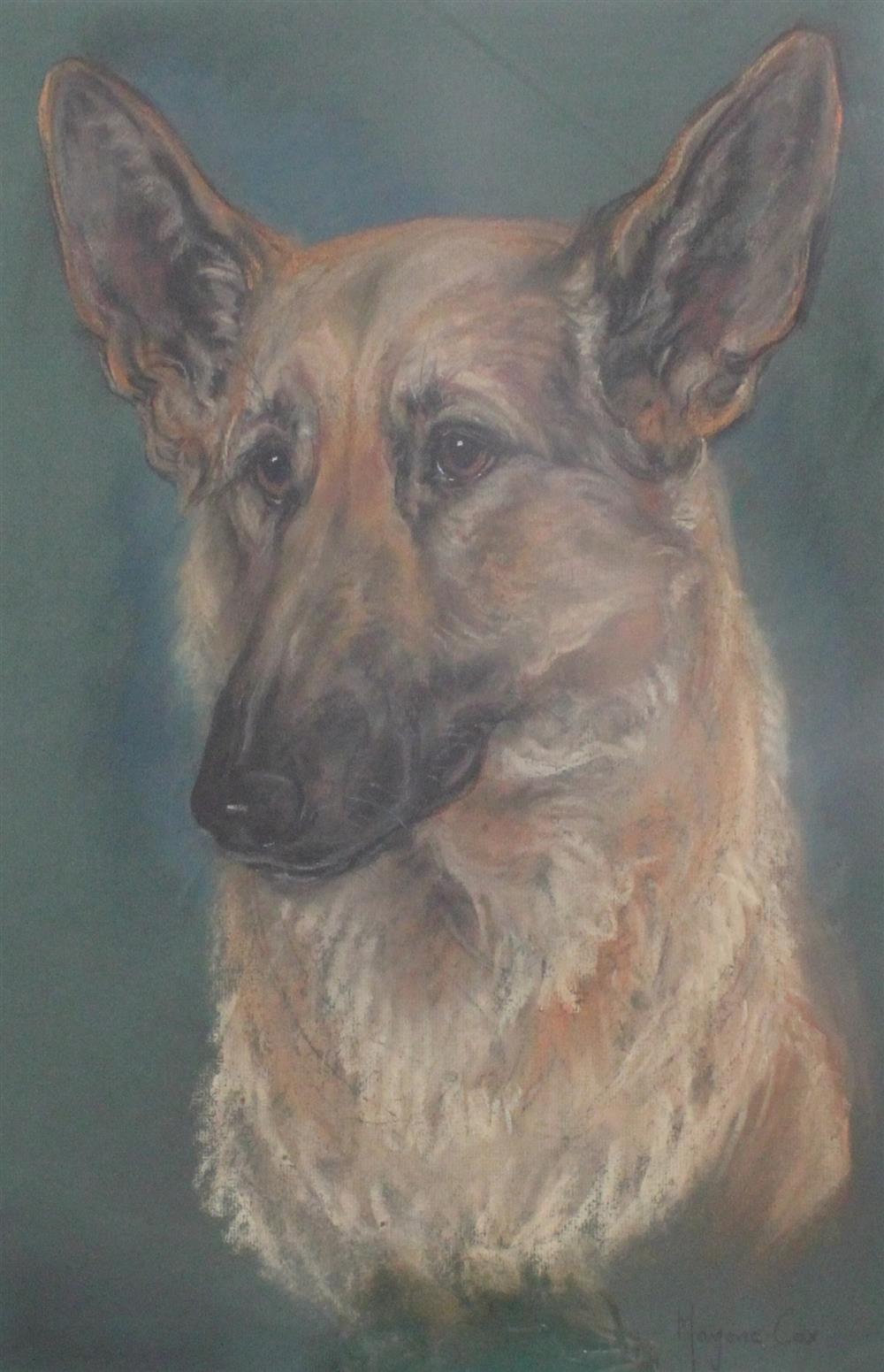 Marjorie Cox (20th C.) Head of a German Shepherd 51 x 35cm